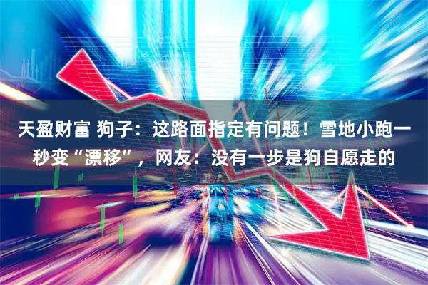天盈财富 狗子：这路面指定有问题！雪地小跑一秒变“漂移”，网友：没有一步是狗自愿走的